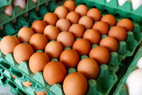 OVO (FONTE: https://www.comprerural.com/alem-de-barato-beneficios-do-ovo-sao-incontaveis/)