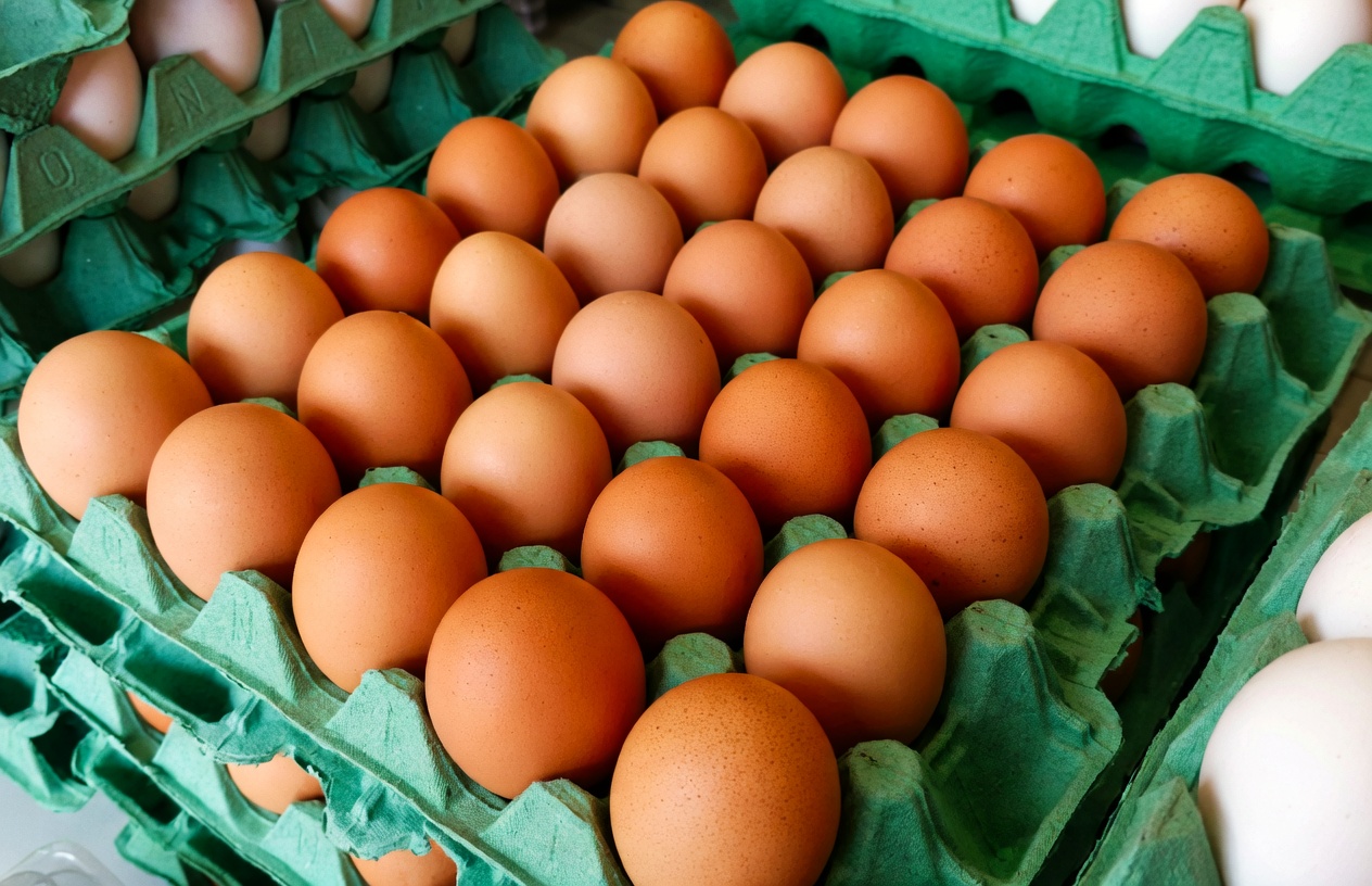 OVO (FONTE: https://www.comprerural.com/alem-de-barato-beneficios-do-ovo-sao-incontaveis/)